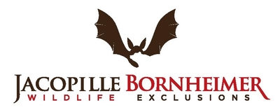 Buffalo Wildlife Removal